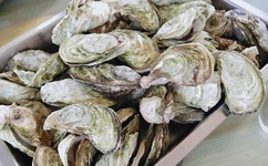 阿离掀开自己副乳的图片